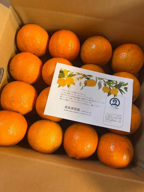 タンカン A級品 5kg