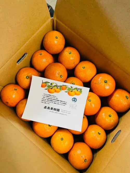 タンカン A級品 10kg