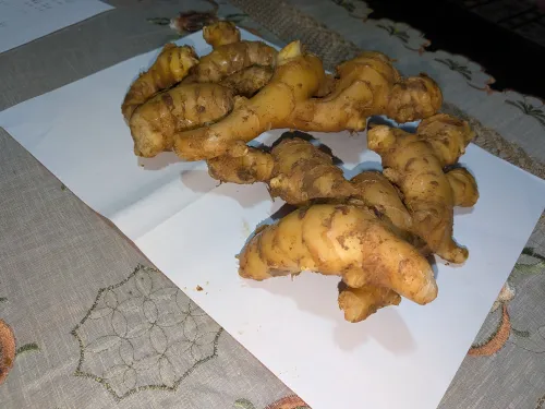 新生姜 A級品 1kg