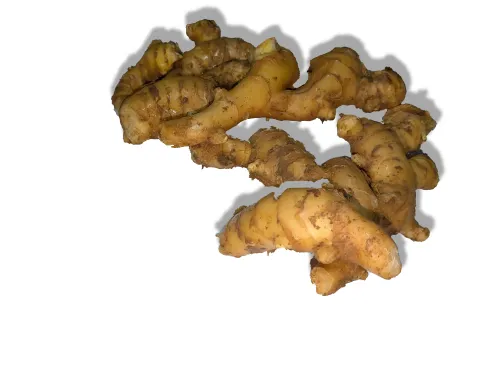 新生姜 B級品 1kg