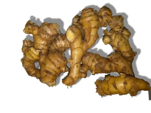 新生姜 B級品 1kg