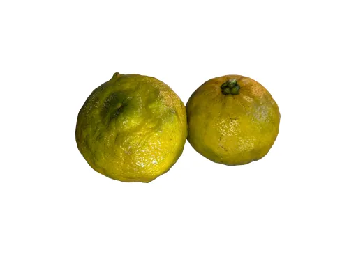 徳之島のへそみかん（1.2kg）と島砂糖（500g）